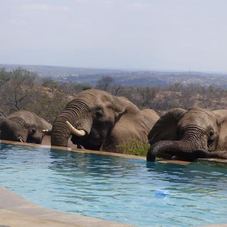 Mbizi Bush Lodge Grietjie Game Reserve Exteriör bild