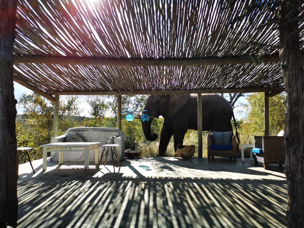 Mbizi Bush Lodge Grietjie Game Reserve Exteriör bild