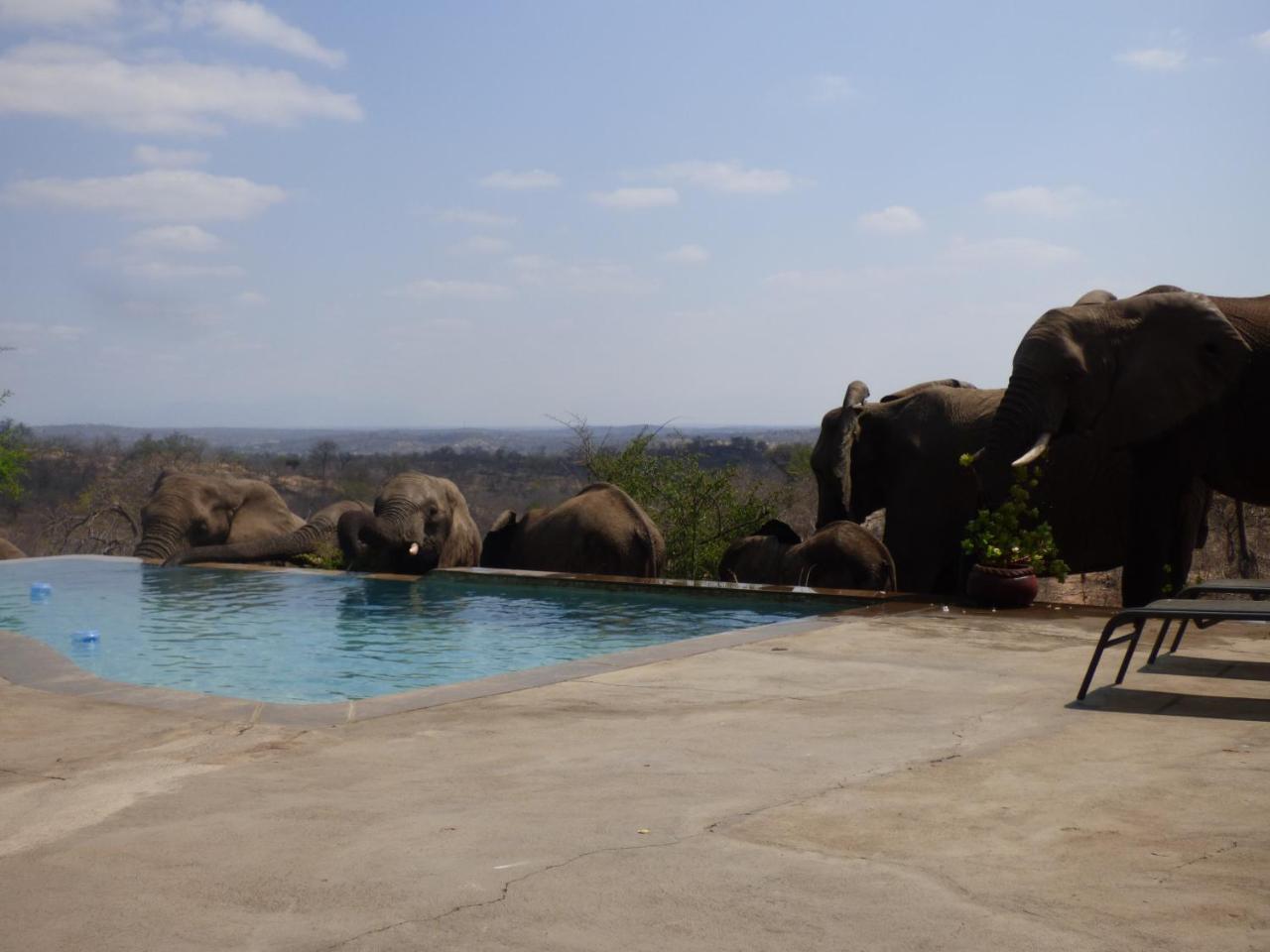 Mbizi Bush Lodge Grietjie Game Reserve Exteriör bild