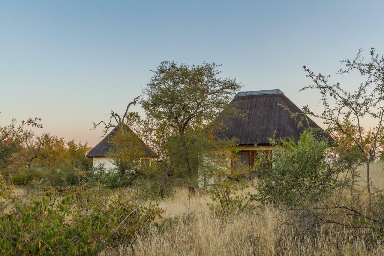 Mbizi Bush Lodge Grietjie Game Reserve Exteriör bild