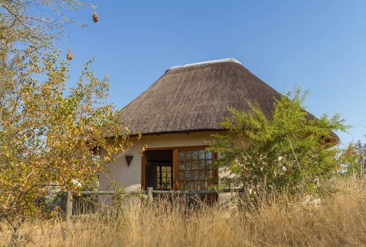 Mbizi Bush Lodge Grietjie Game Reserve Exteriör bild