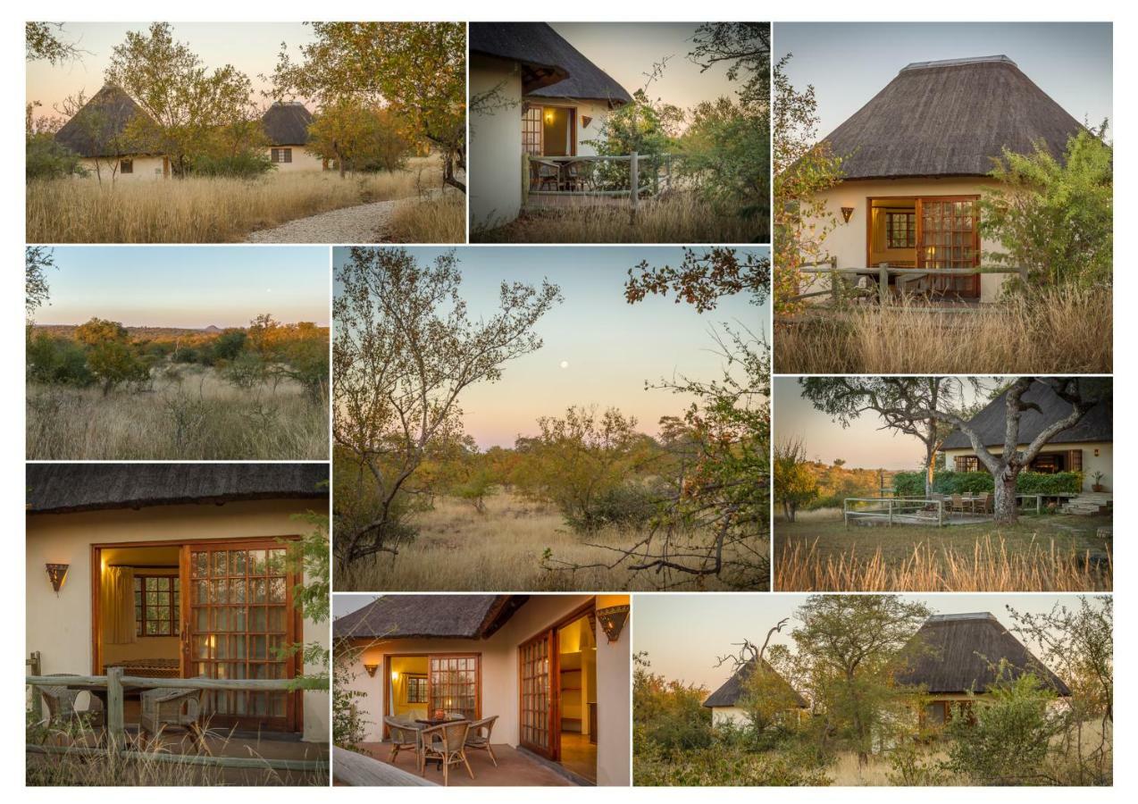 Mbizi Bush Lodge Grietjie Game Reserve Exteriör bild